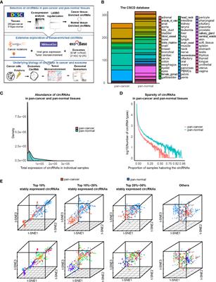 Machine Learning-Based Comparative Analysis of Pan-Cancer and Pan-Normal Tissues Identifies Pan-Cancer Tissue-Enriched circRNAs Related to Cancer Mutations as Potential Exosomal Biomarkers